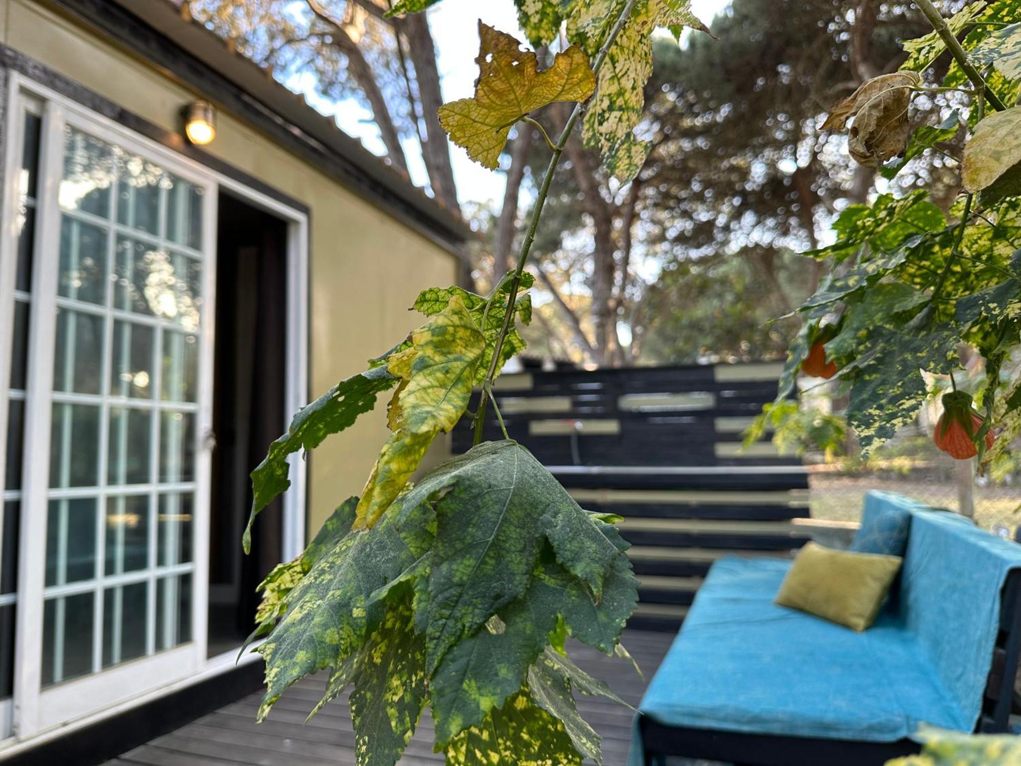 Eco-Friendly Beach House Sesimbra Exterior foto