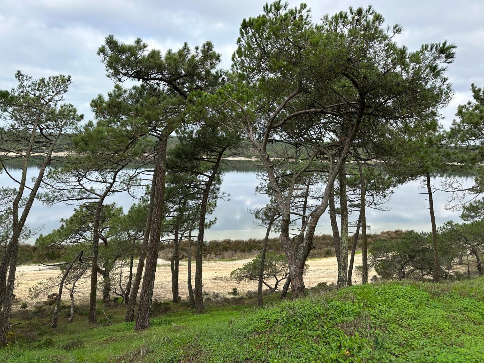 Eco-Friendly Beach House Sesimbra Exterior foto